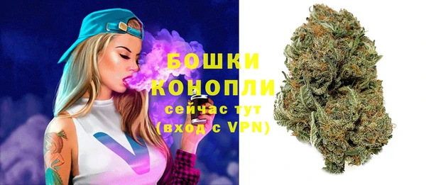 ГАЛЛЮЦИНОГЕННЫЕ ГРИБЫ Сосновка