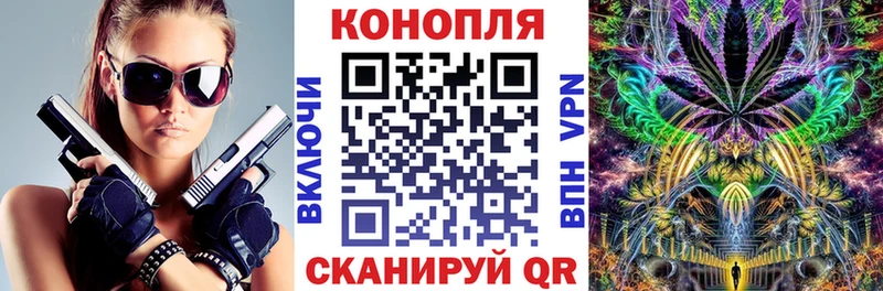 как найти   Губаха  МАРИХУАНА марихуана 